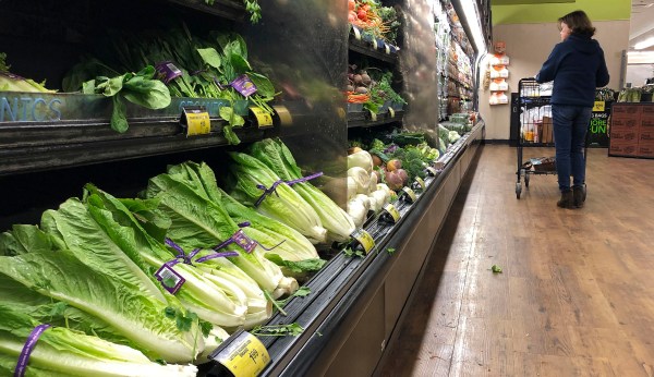 Lettuce relax: FDA says some romaine is fine to eat