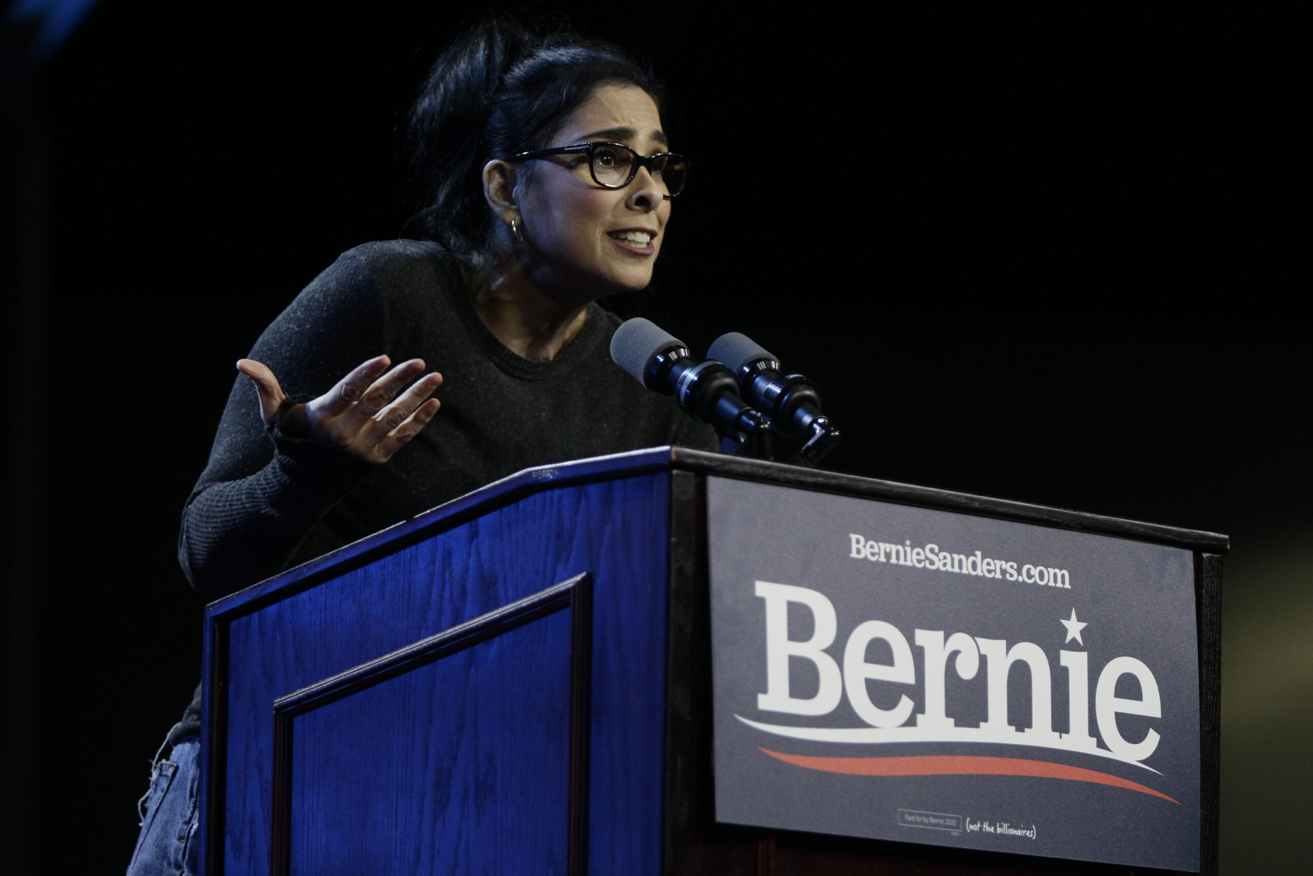 Sarah Silverman and other celebrities strip clothes for PSA on naked ballots