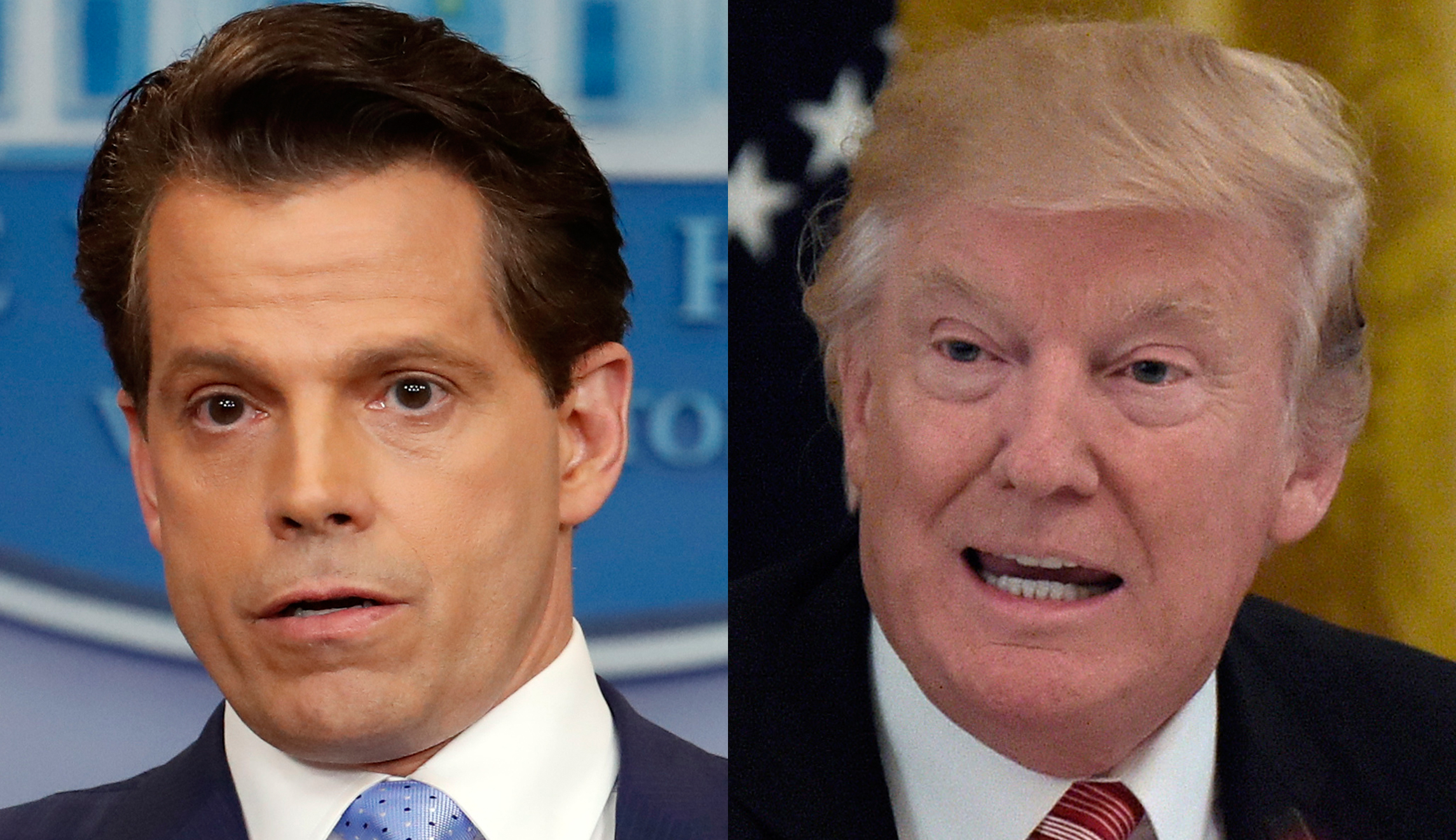 Scaramucci: GOP might need to replace Trump on 2020 presidential ticket