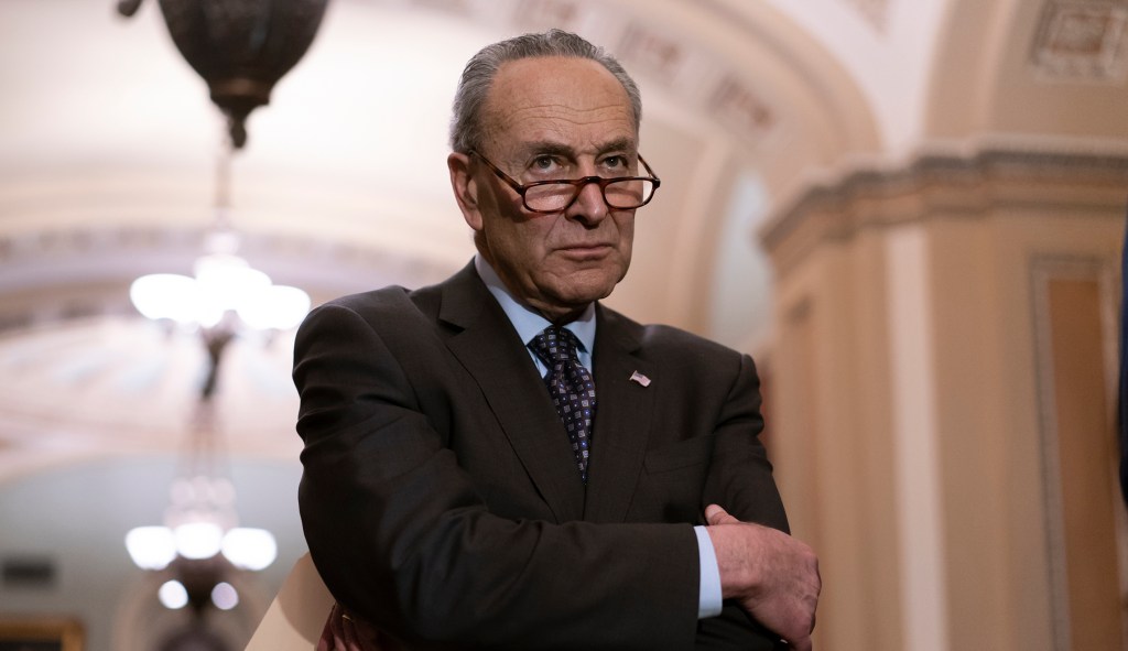 Schumer admits in private call that Democratic chances to regain Senate control were squashed: Report