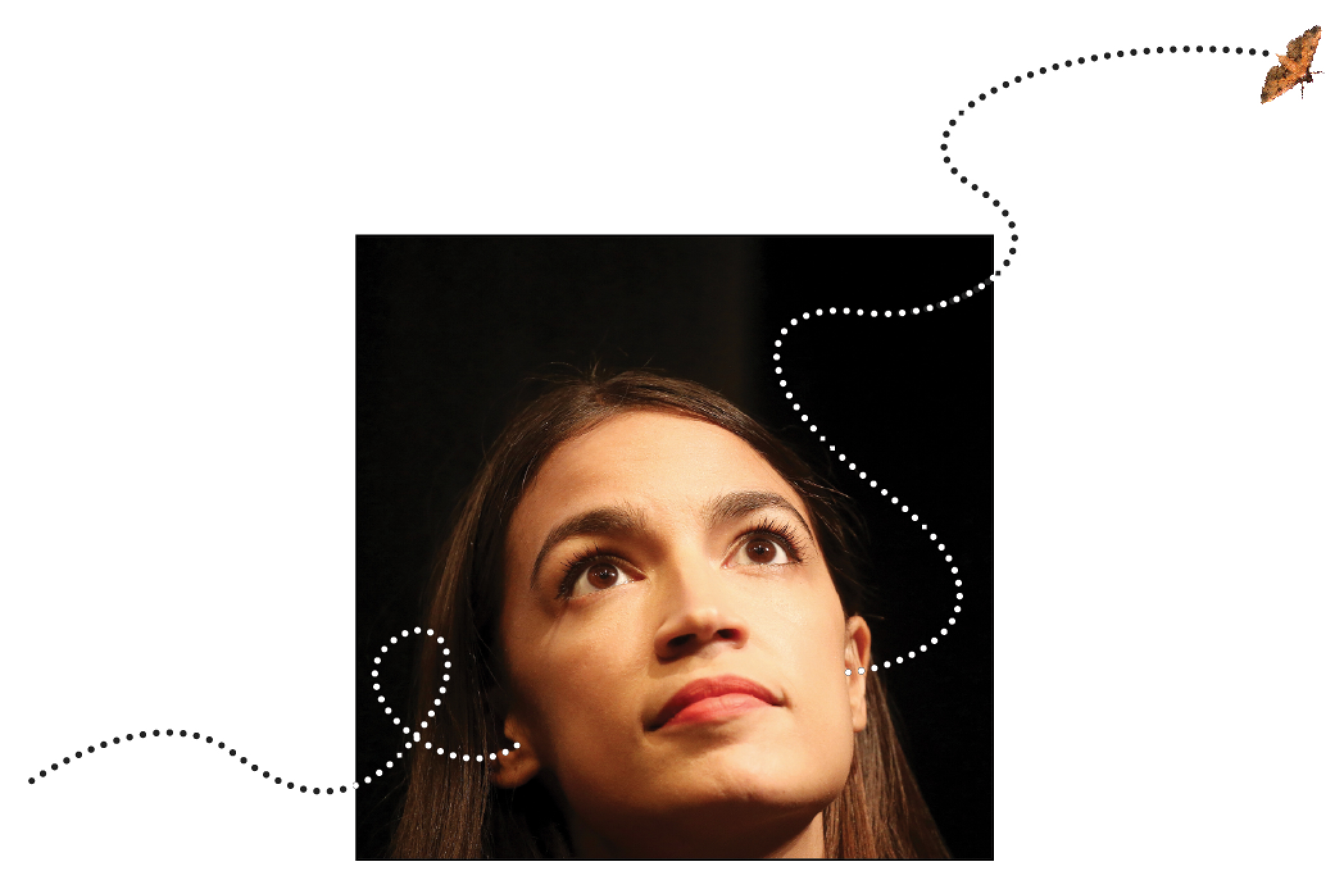 A Normal, Working Person with Dumb Ideas