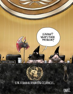 Human Rights Council