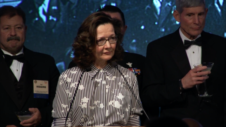 108 retired military officers urge Senate to probe CIA nominee Gina Haspel’s ties to torture