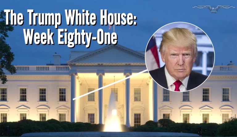 The Trump White House in review: Week 81