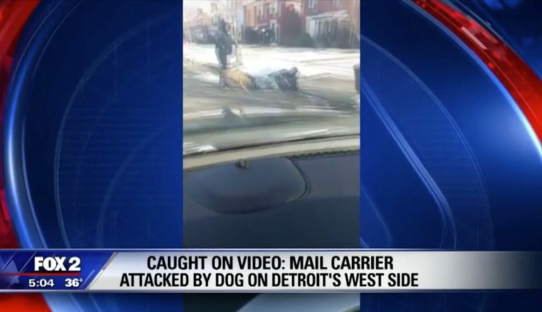 Dog attack on USPS worker caught on video