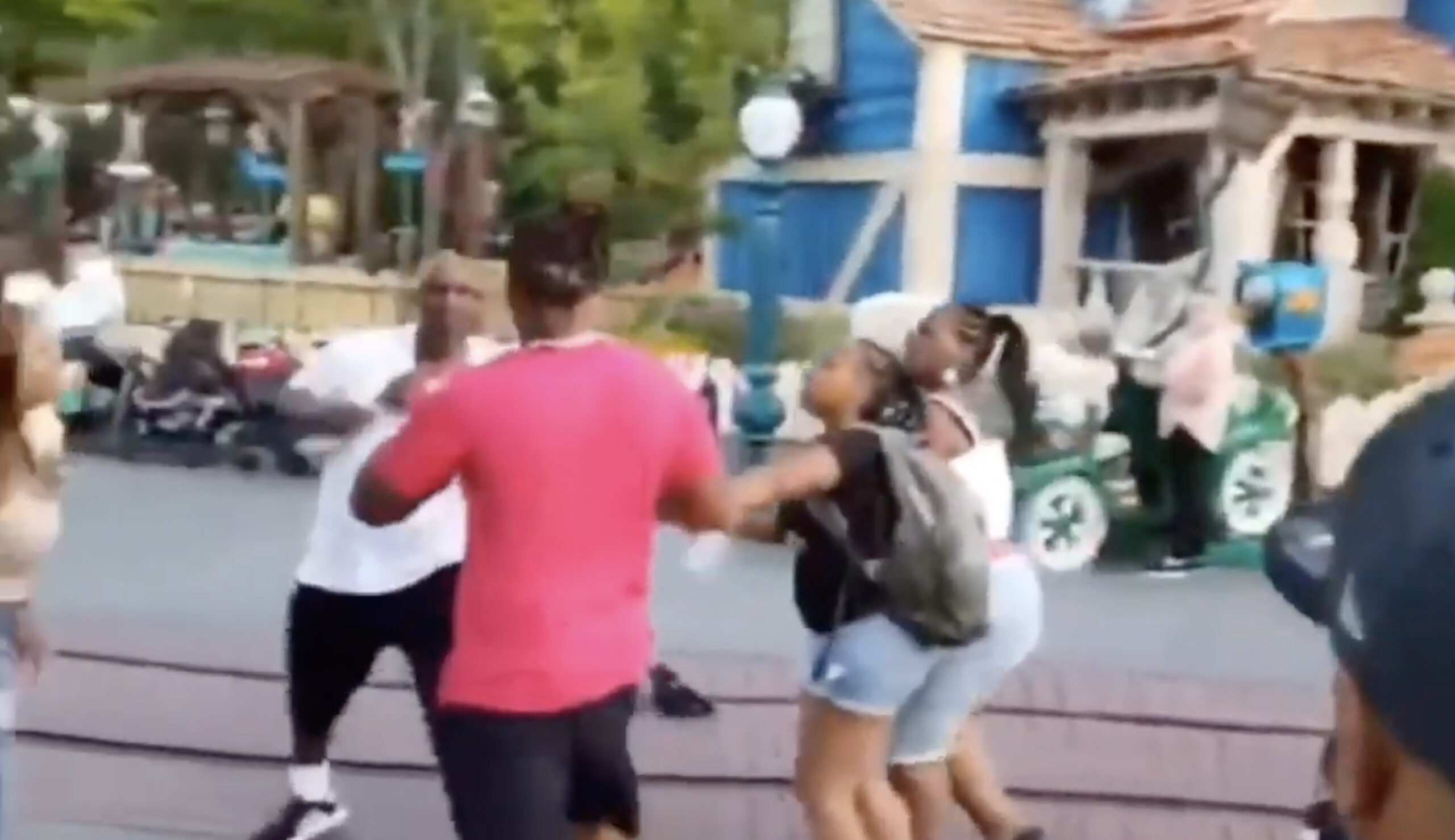 Multiple felony charges filed in alleged Disneyland brawl