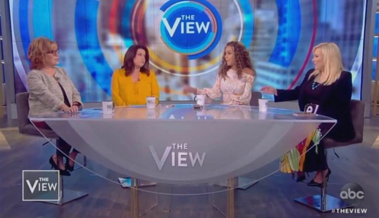 Screaming ensues on The View despite everyone being in agreement