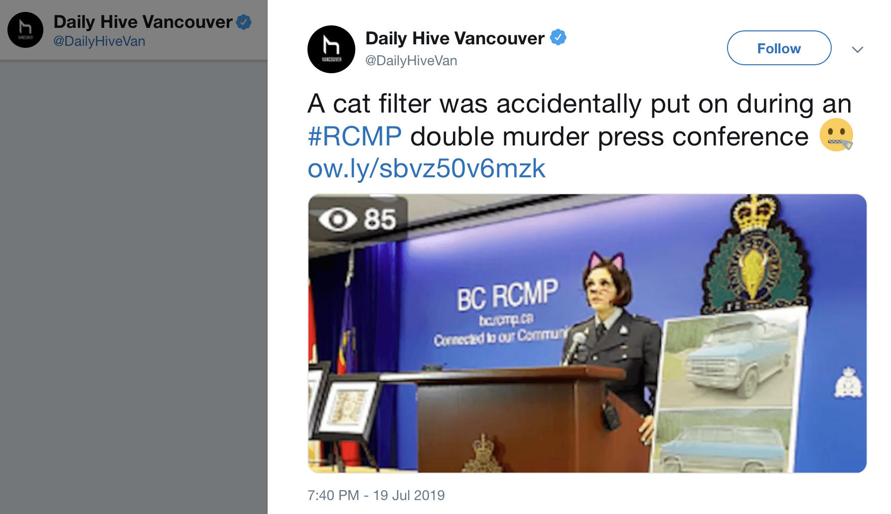 Police mistakenly use ‘cat filter’ to live stream press conference about double homicide