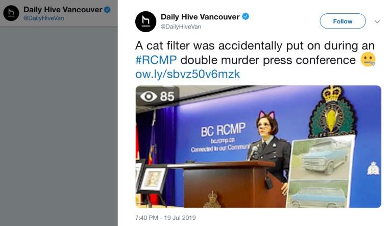 Police mistakenly use ‘cat filter’ to live stream press conference about double homicide