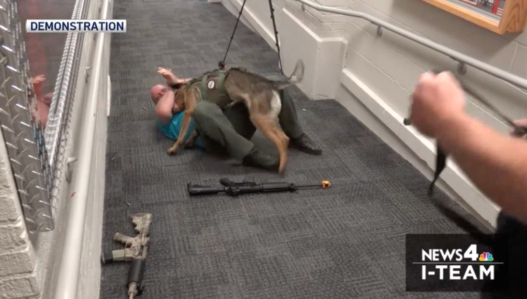 Ex-Navy SEAL training attack dogs to combat school shooters