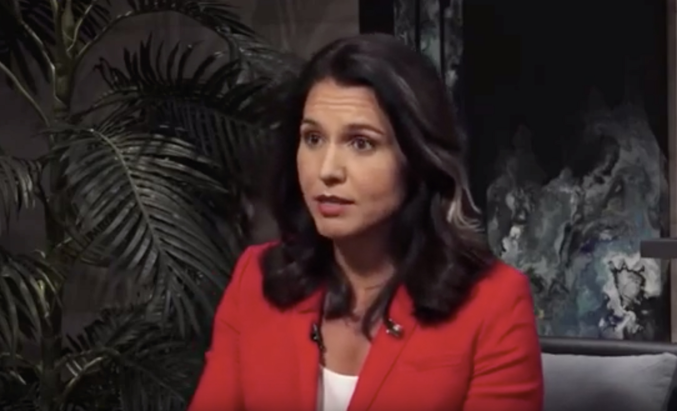 Tulsi Gabbard: ‘It’s fair’ to say 2020 Democrats advocate for ‘open borders’
