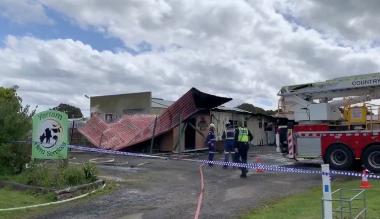 ‘Huge blow’: Firefighters dodge ‘projectiles’ and farmers take hit after fire at bull semen facility