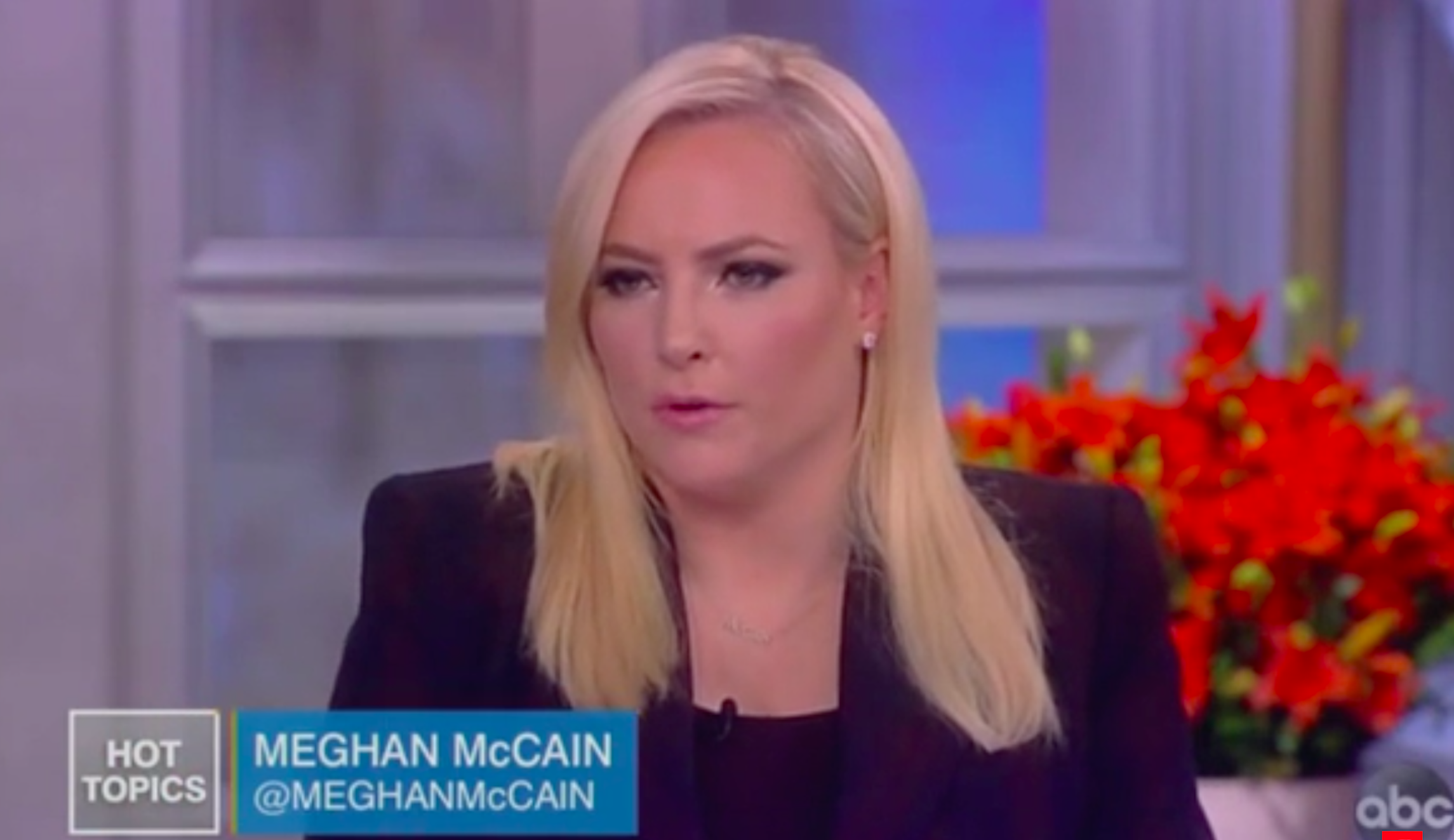 ‘She didn’t earn it’: Meghan McCain rips senator appointed to replace her father after CNN jab