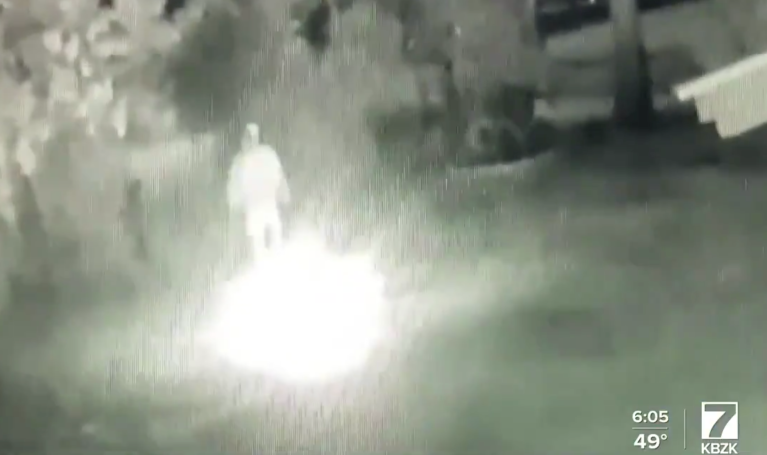 Vandal burns Montana family’s Trump flags as children sleep yards away: ‘Could have easily burned my house down’