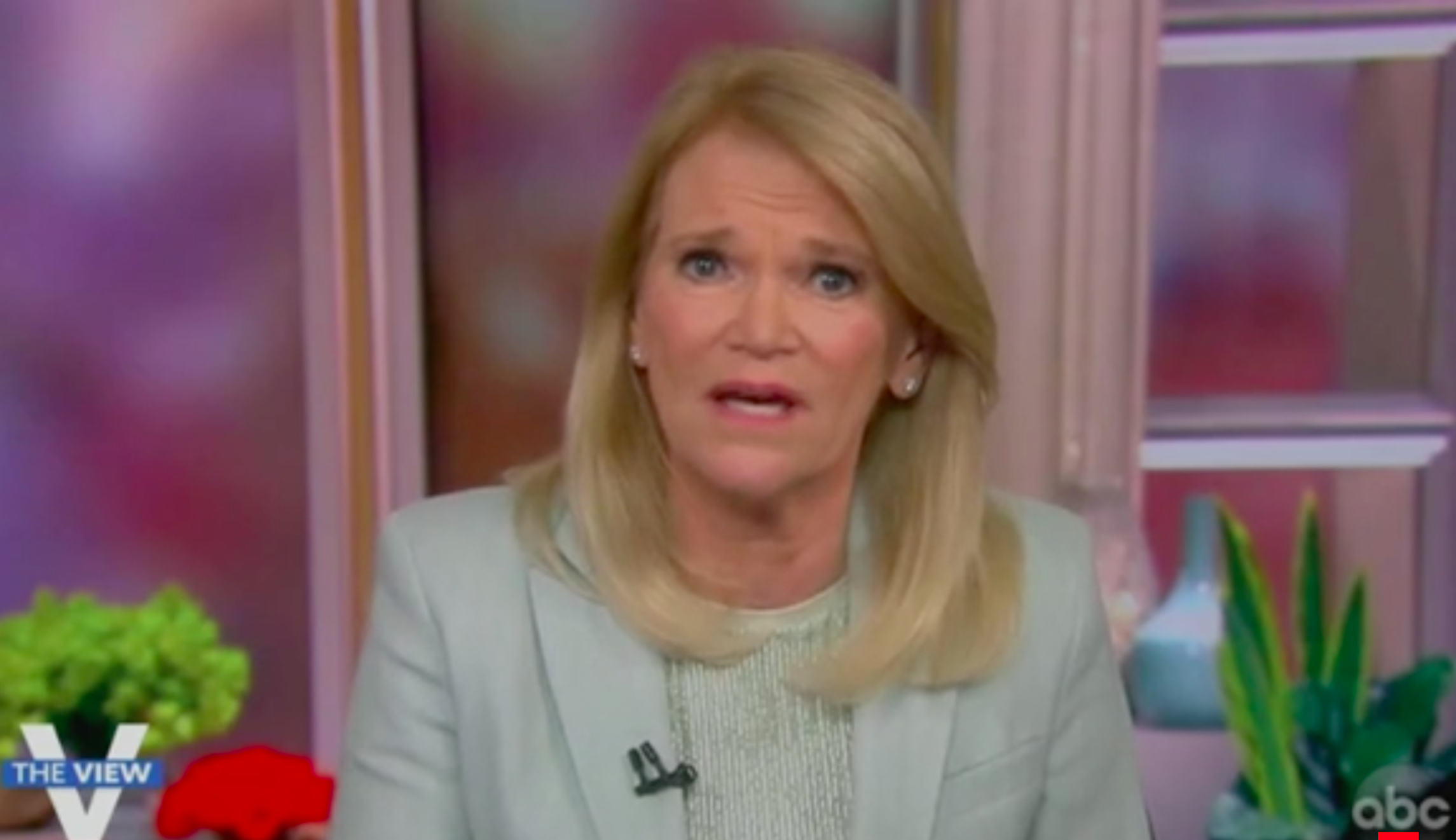 ABC anchor Martha Raddatz: ‘There wasn’t a whole lot of enthusiasm for Joe Biden’ in nationwide trip