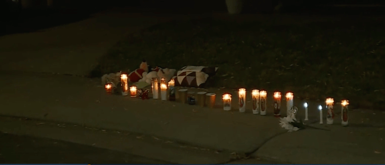 California 11-year-old kills himself during virtual class on Zoom as health experts warn depression is increasing amid lockdowns