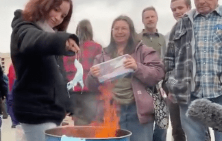 Families burn masks at rally against coronavirus emergency order at Idaho Capitol