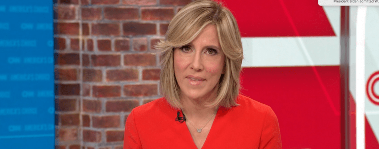 CNN host slammed for ‘stupid, ignorant, and elitist’ comments suggesting gun store owners diagnose customers’ mental health