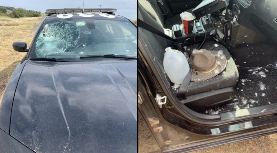 Vulture ‘smashed’ into Oklahoma officer’s windshield, sounded ‘like a gunshot’