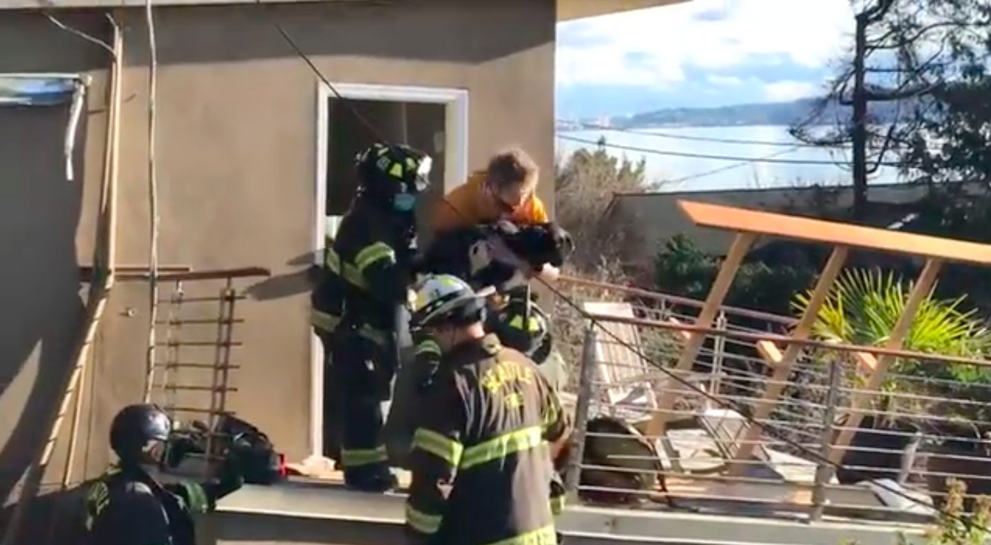 Seattle firefighters rescue family dog six days after landslide collapses house