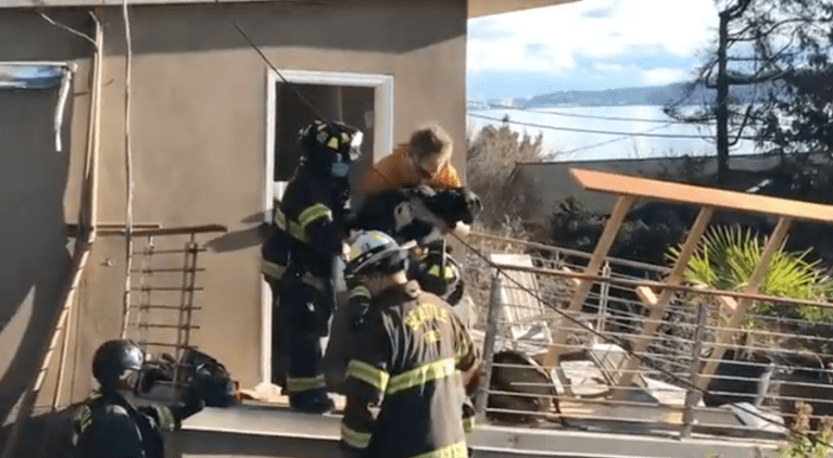 Seattle firefighters rescue family dog six days after landslide collapses house