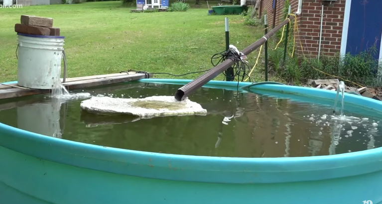 WATCH: Tennessee man farming his own fish in battle against rising food prices