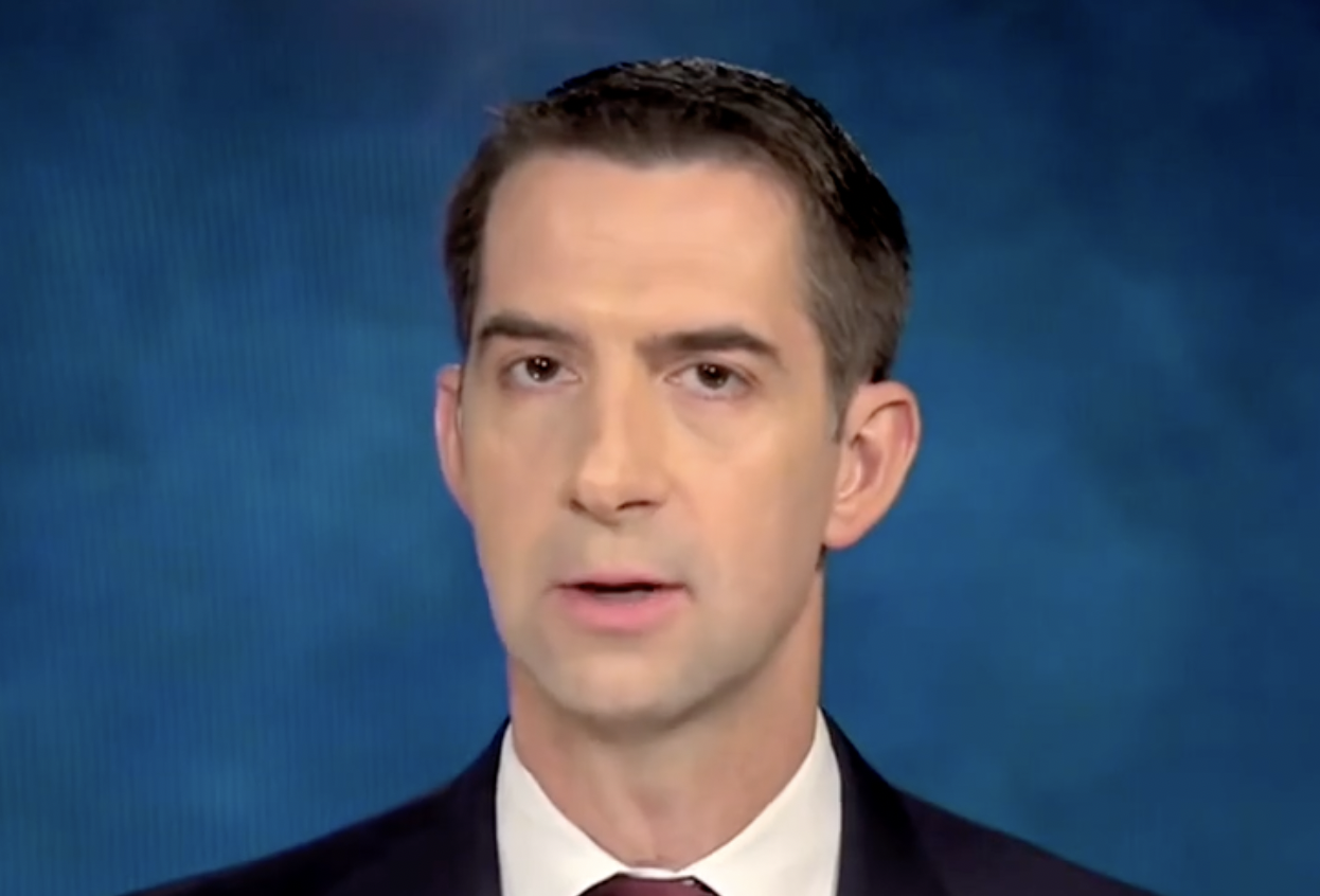 ‘Like an ostrich’: Cotton slams Biden’s take on Chinese tariffs as inflation help