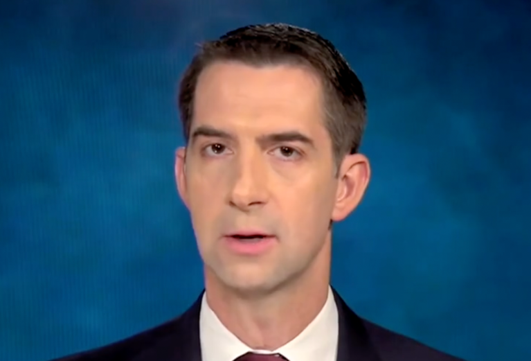 ‘Like an ostrich’: Cotton slams Biden’s take on Chinese tariffs as inflation help