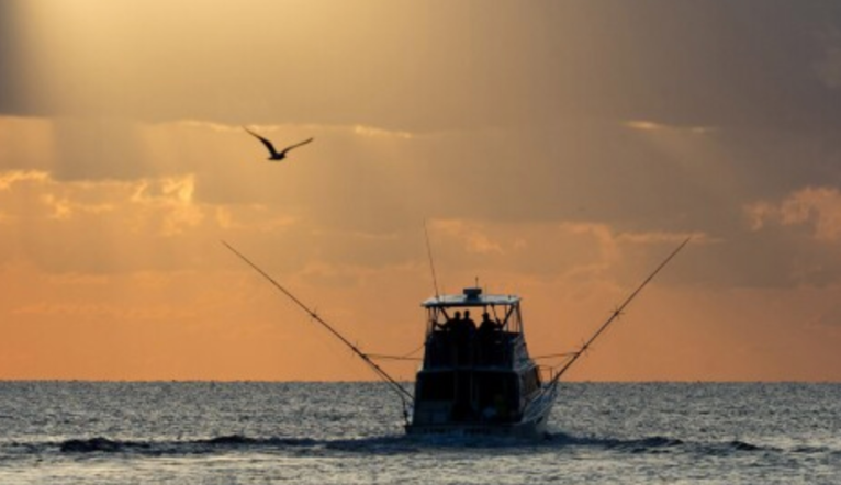 Maryland man sets record with 77-pound long-fin tuna catch