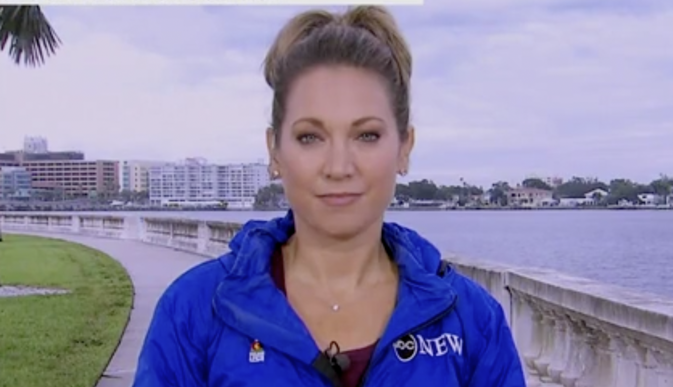 ‘Harsh disses’: Good Morning America meteorologist slams Twitter troll over outfit critique