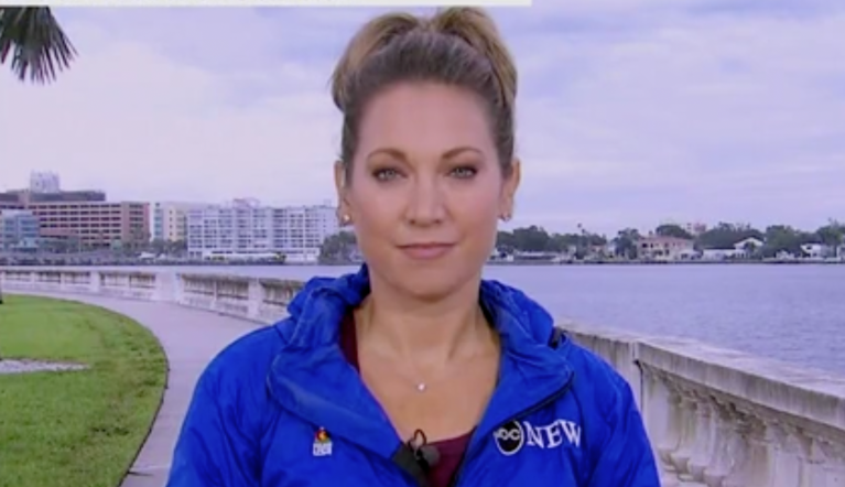 ‘Harsh disses’: Good Morning America meteorologist slams Twitter troll over outfit critique