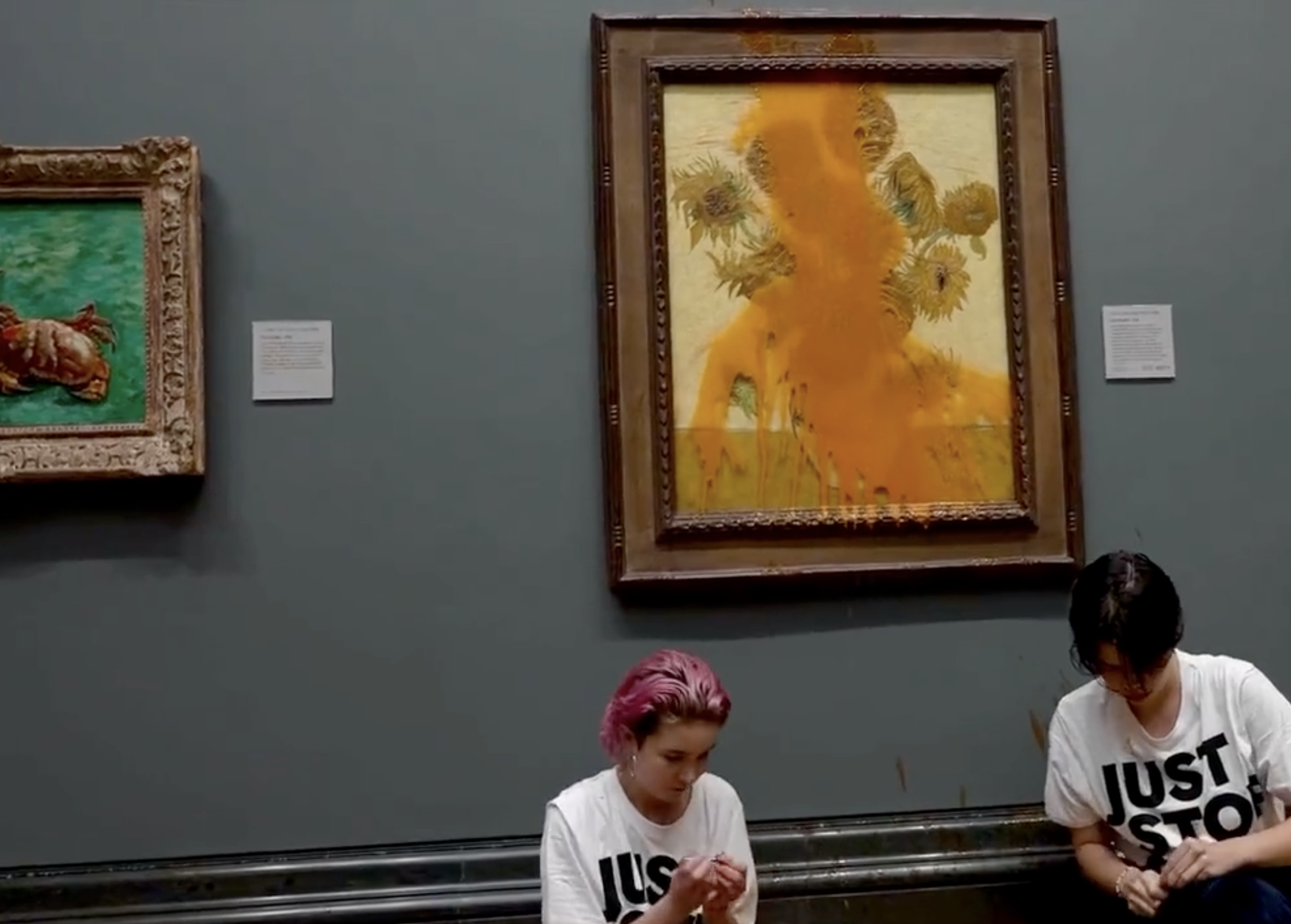 ‘Fought for your future’: Activist defends throwing soup on van Gogh painting