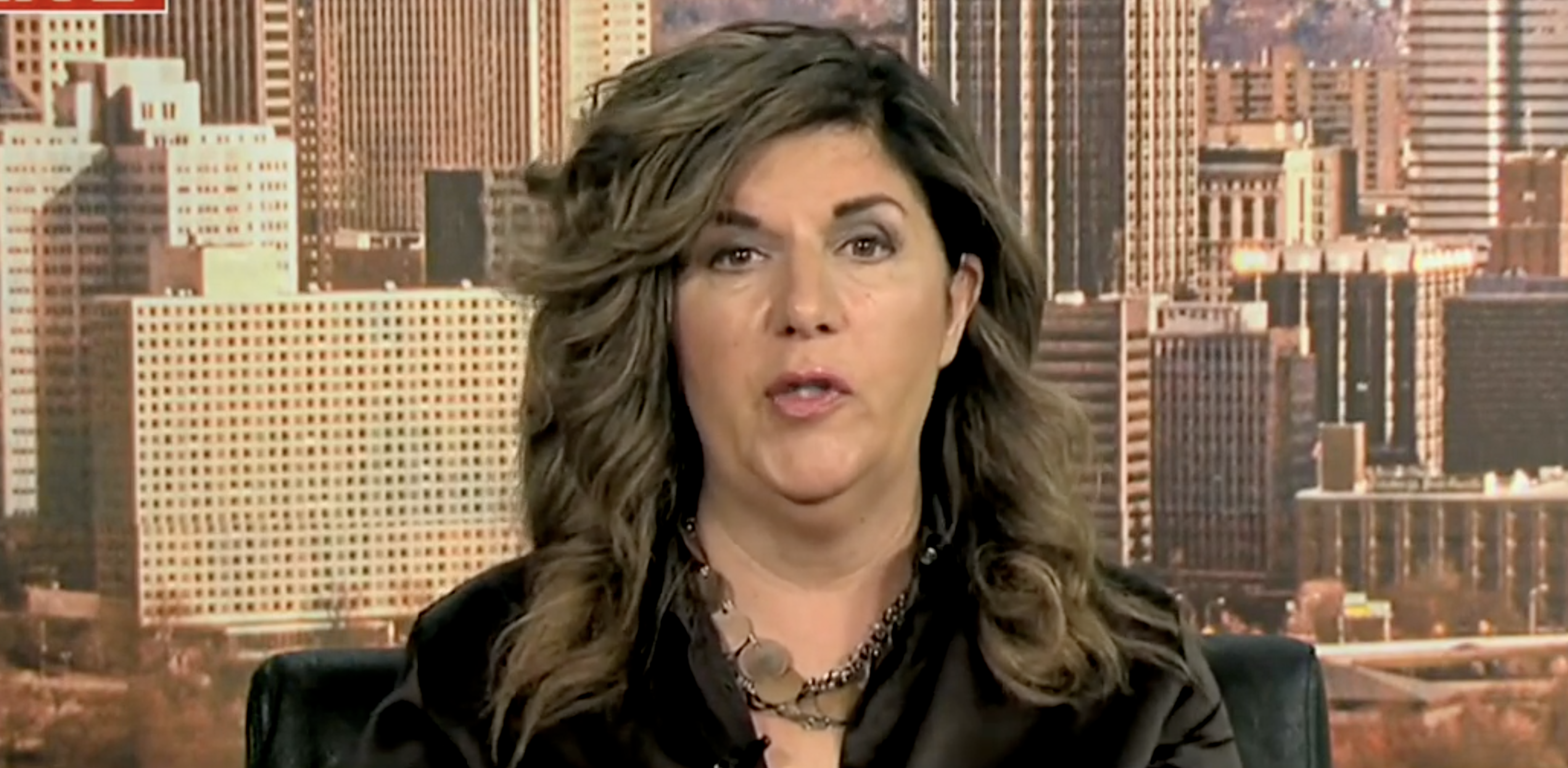 WATCH: Salena Zito warns voter behavior will depend on issues, not demographics
