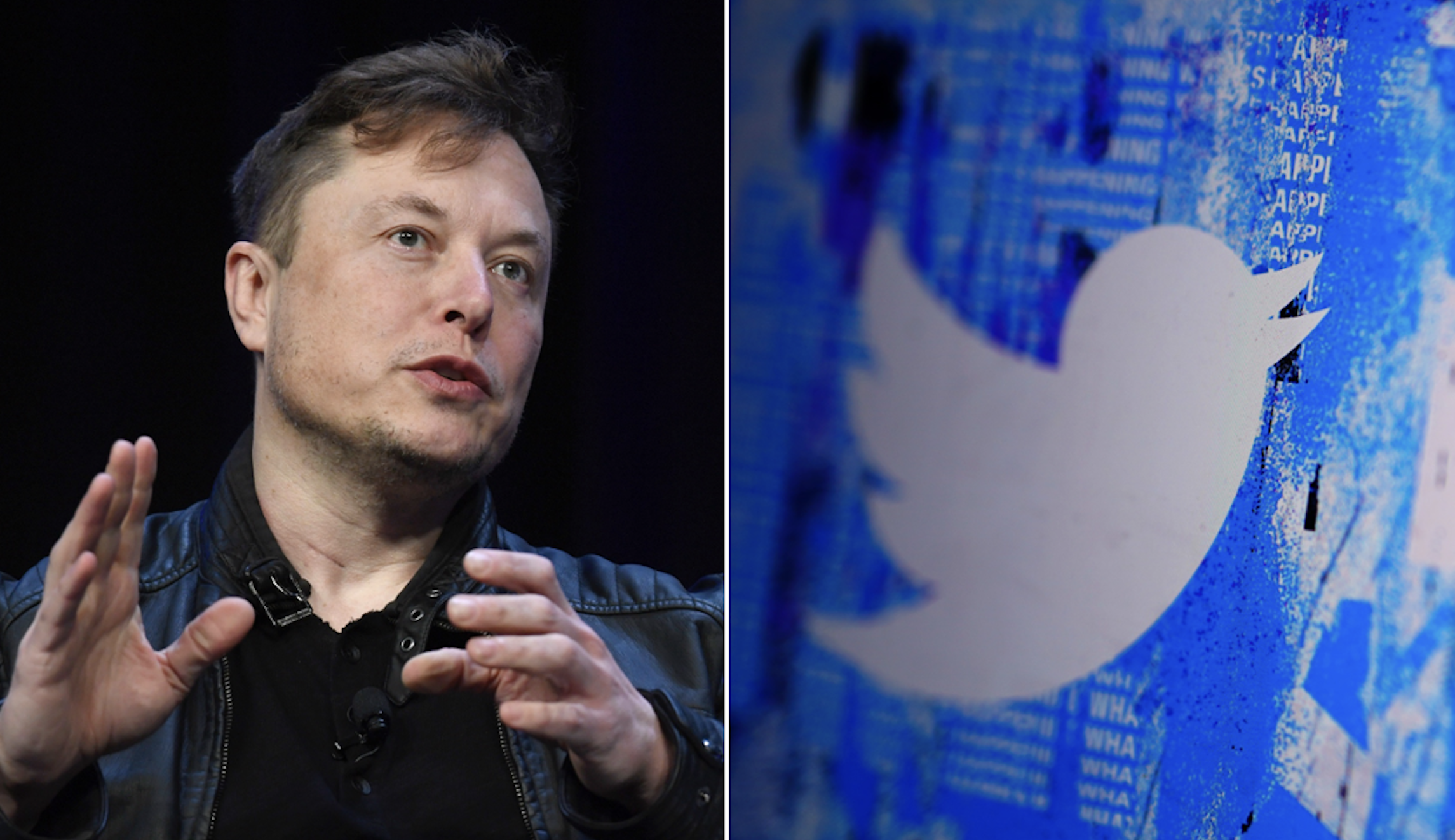 Elon Musk unveils Twitter verification program with different colored check marks