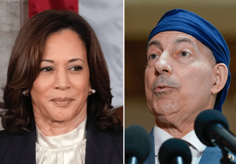 Raskin can’t say whether Kamala Harris is Biden’s best 2024 vice presidential option