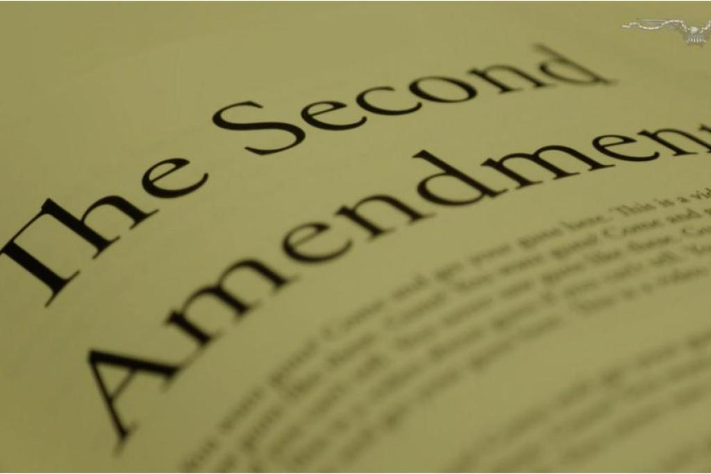 Barone's Guide to Government: Second Amendment