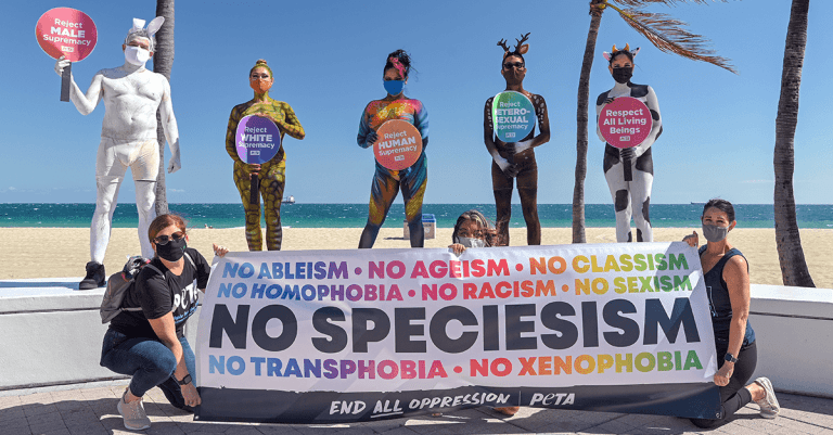PETA is calling for a probe into the killing 