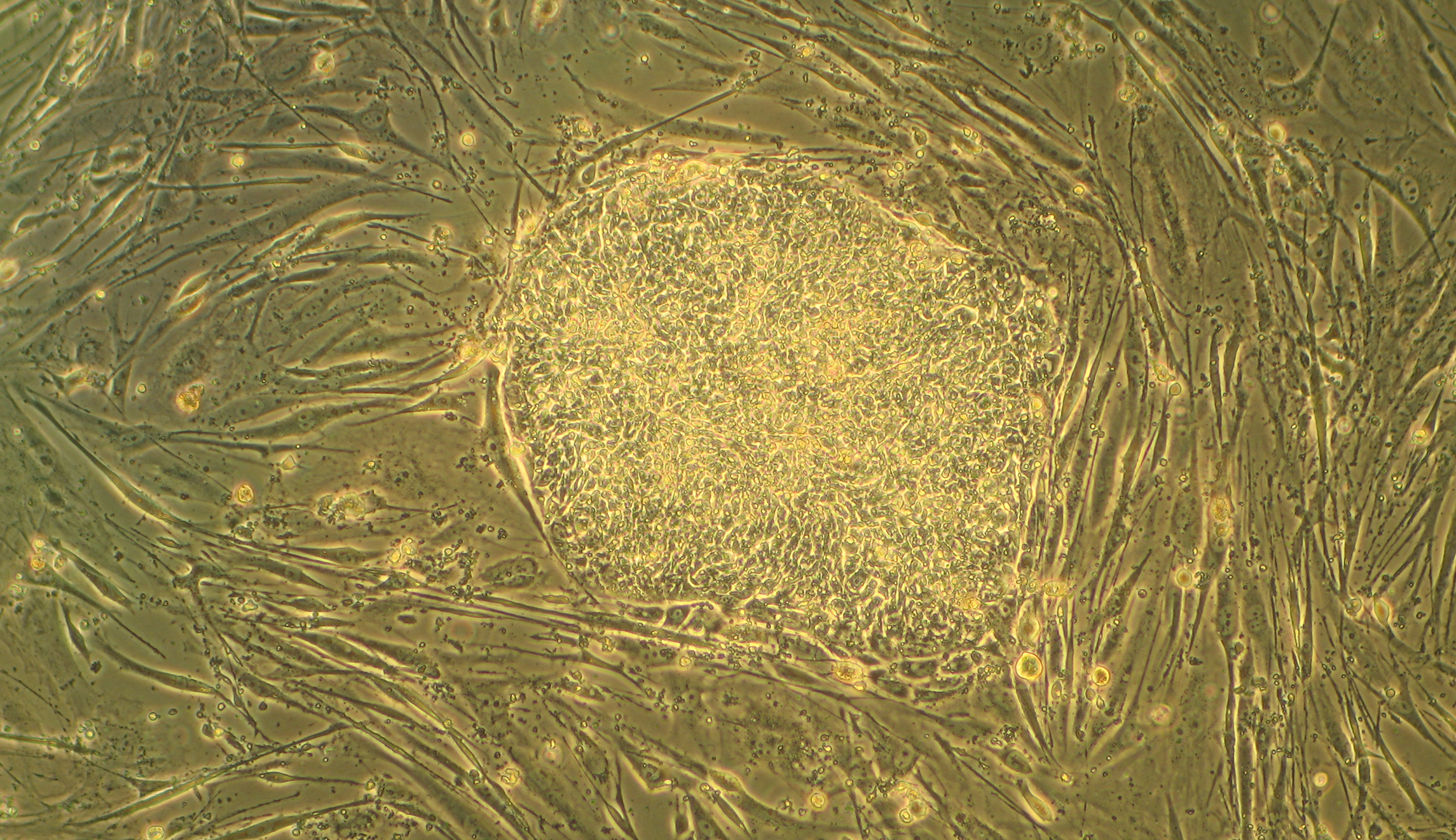 Helping patients without ending lives