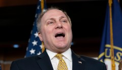 Scalise slams Waters for inciting violence: ‘I was shot because of this kind of dangerous rhetoric’