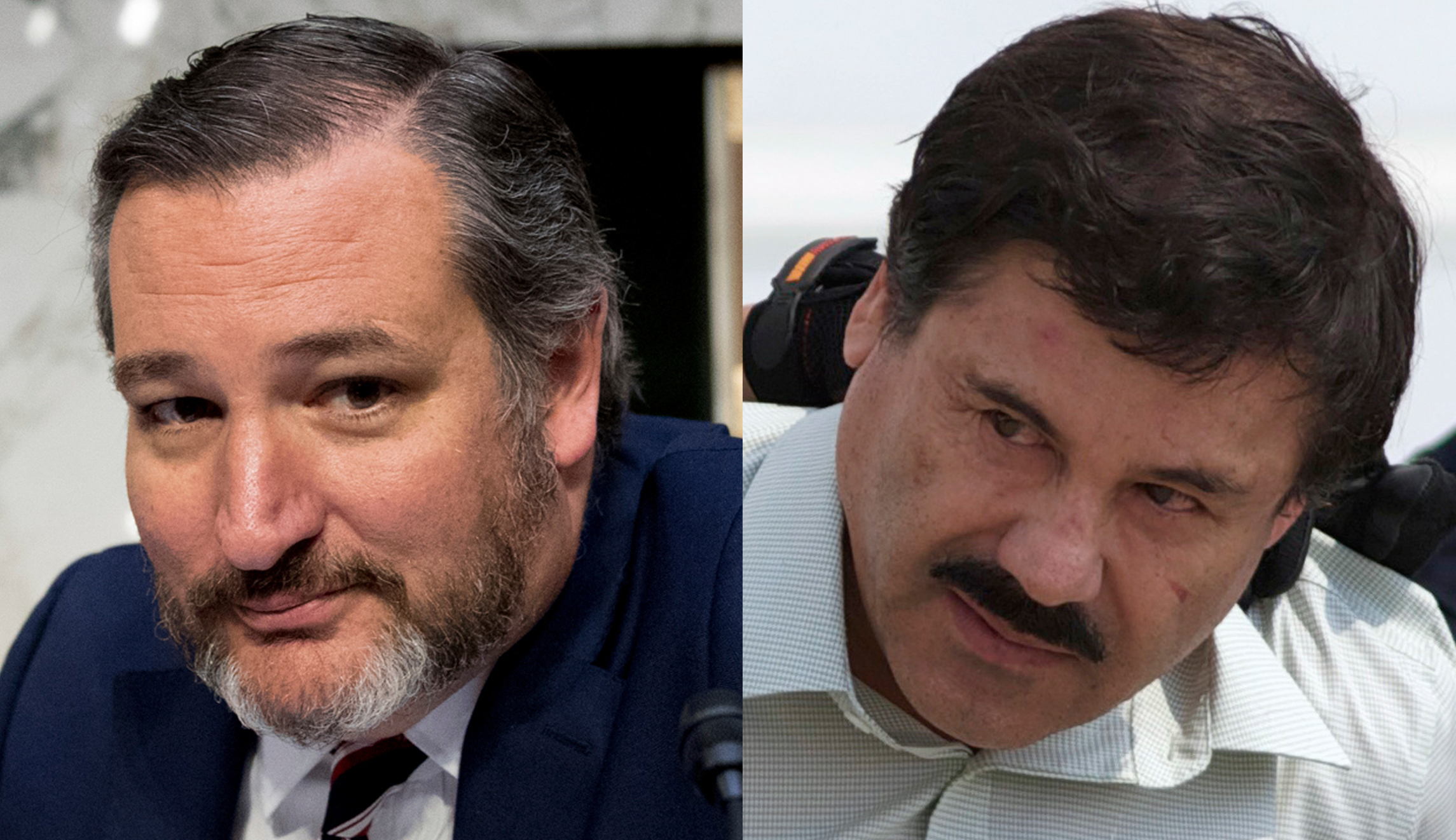 Ted Cruz: Use money from ‘El Chapo’ drug empire to ‘build the wall’
