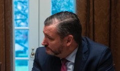 ‘Perfectly reasonable’: Cruz supports Ukraine whistleblower being called as a witness