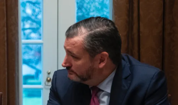 ‘Perfectly reasonable’: Cruz supports Ukraine whistleblower being called as a witness