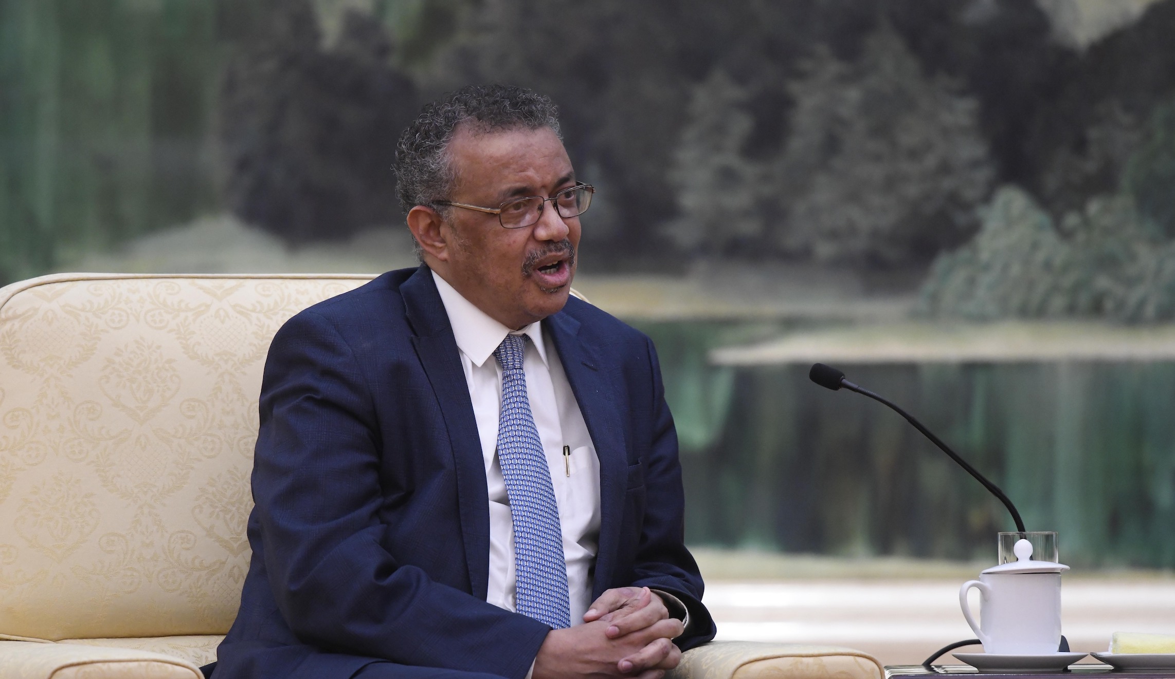 WHO to hold summit on traditional medicine