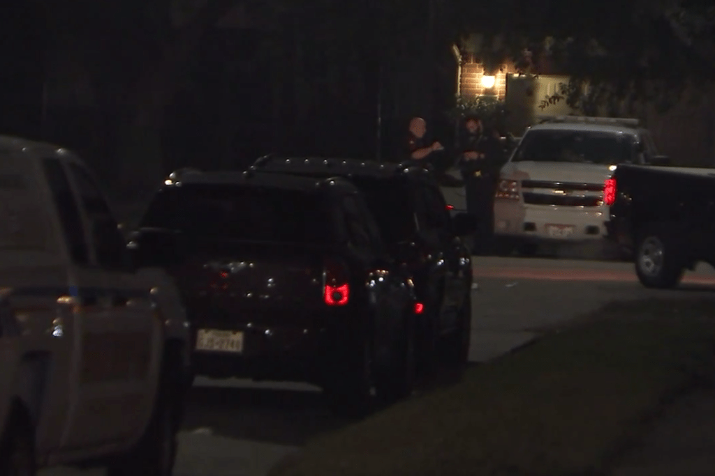 Texas nurse killed by celebratory gunfire during New Year's fireworks