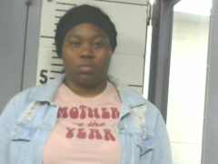‘Mother of the Year’ arrested after punching umpire at children’s softball game