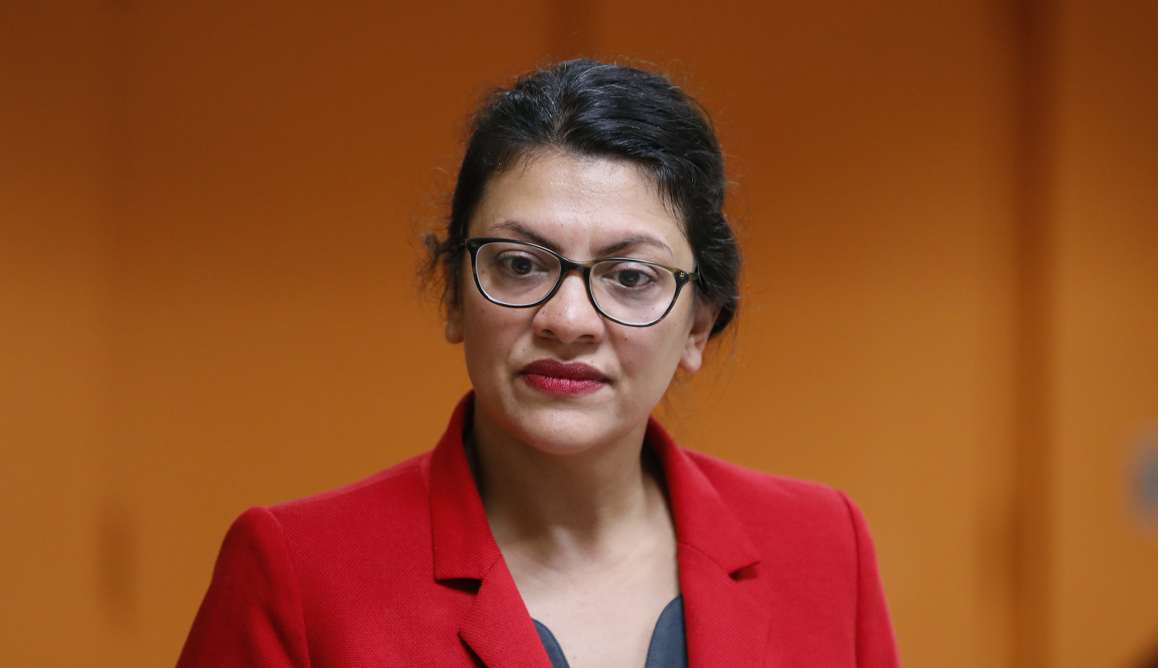 GOP congressman calls on Tlaib to lose committee assignments after ‘disturbing pattern of anti-Semitism’