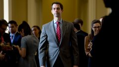 Tom Cotton launches ‘war room’ to back Trump SCOTUS pick