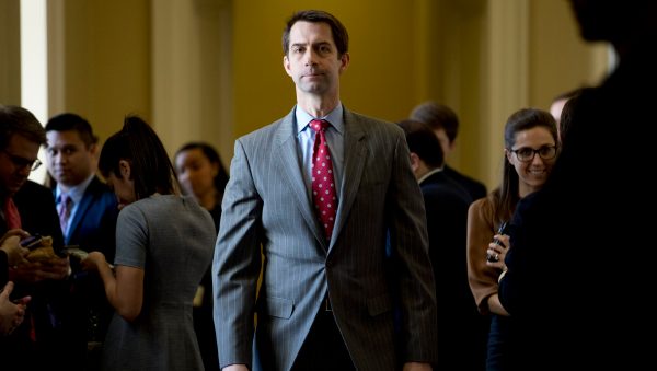 ‘Insolent and obstructive’: Tom Cotton says intelligence watchdog shared extra details about Ukraine whistleblower with House Democrats