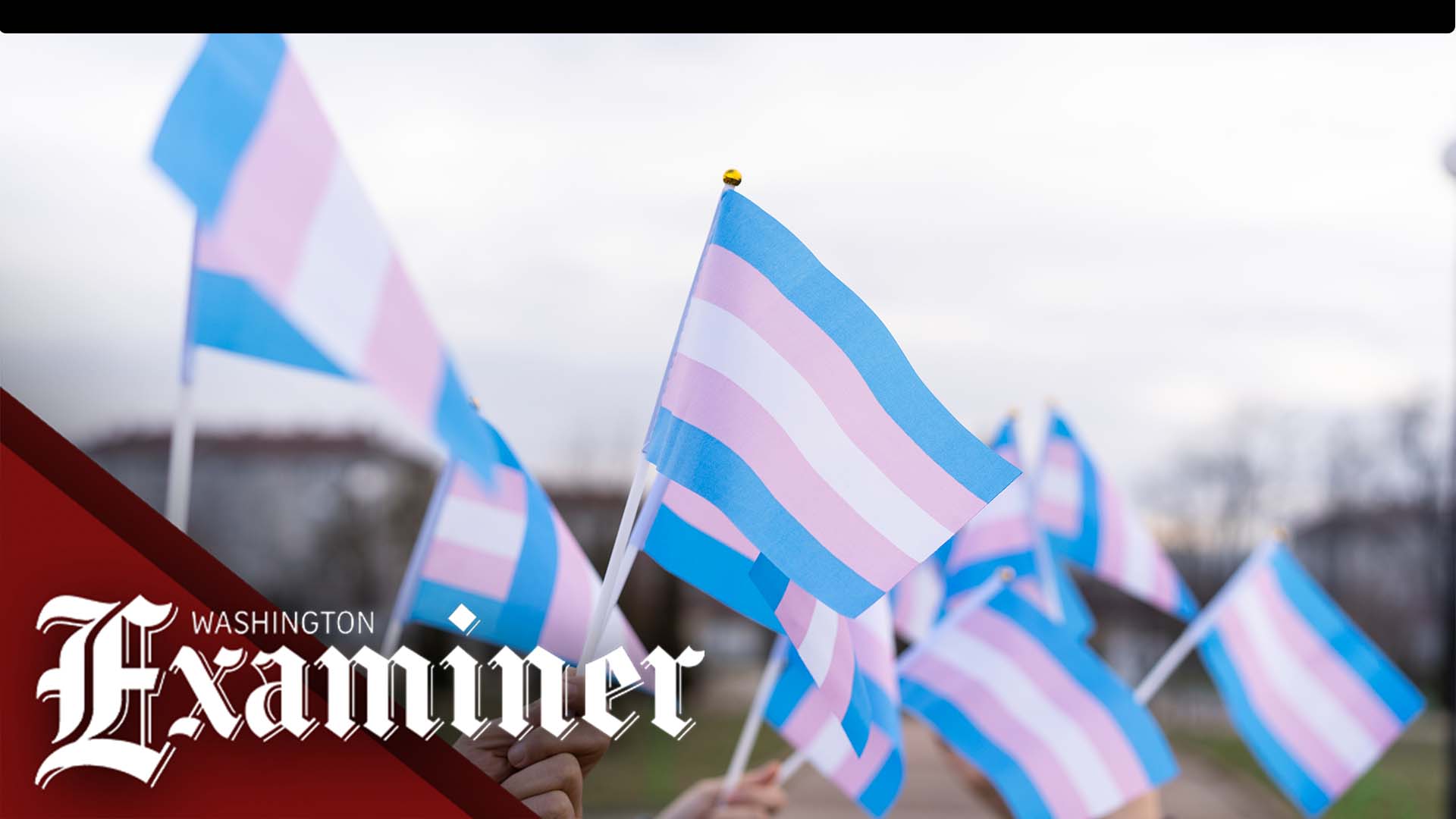 Transgender female athletes have physical advantage, doctors confirm