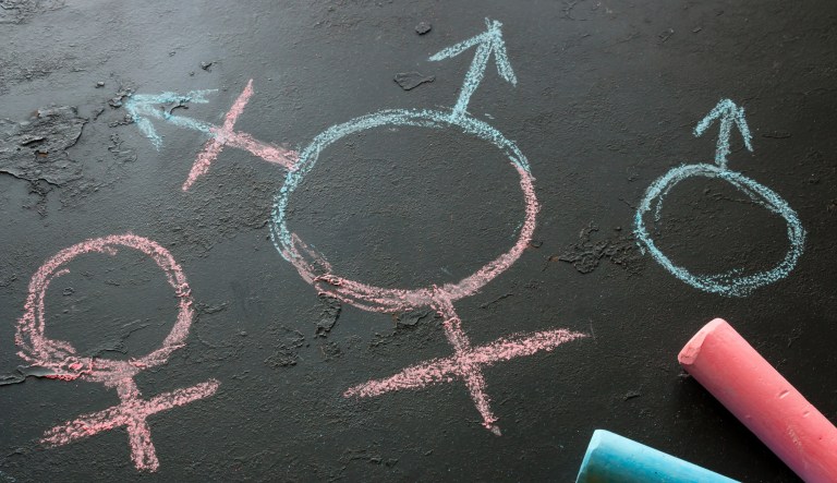 Teacher fired for exercising free speech against pro-transgender policy